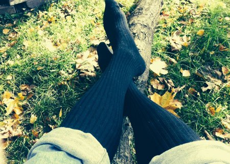 Herbst im Garten Bild 1