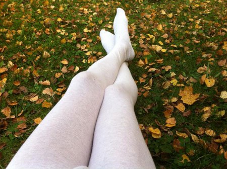 Herbst im Garten Bild 2