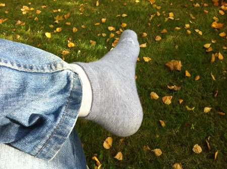 Herbst im Garten Bild 3