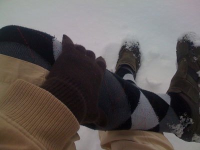 Winter im Garten Bild 1