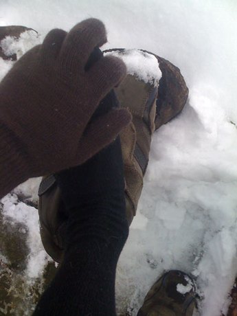 Winter im Garten Bild 3